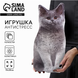 Игрушка-антистресс «Серый кот», 19х28 см