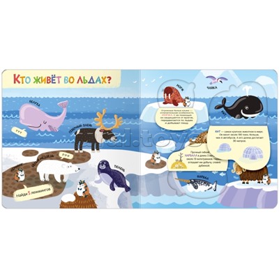 Книжки с окошками. Мир животных