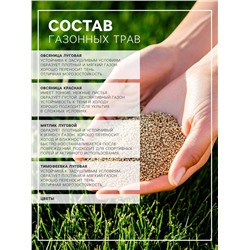 Газонная травосмесь «Мавританский » 0.5 кг