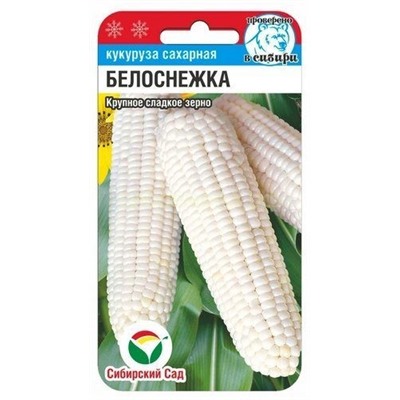 Кукуруза Белоснежка (Сиб сад)