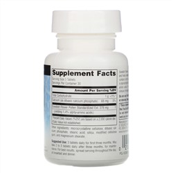 Source Naturals, Шведская цветочная пыльца, 90 таблеток