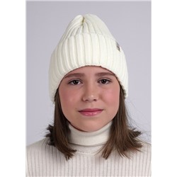 454899 CLEVER Шапка