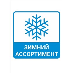 CLEVER Носки С205П 24