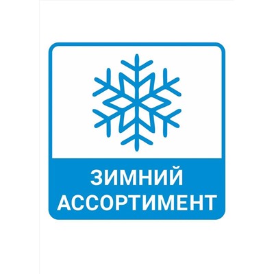 CLEVER Носки Д2342П