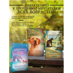 АСТ Михаил Самарский "Невероятные приключения кота Сократа"