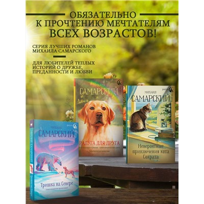 АСТ Михаил Самарский "Вещие сны кота Сократа"