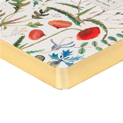 Ежедневник недатированный А6+ FLEX "FLORA.Луговые травы" 3-742/19 Bruno Visconti