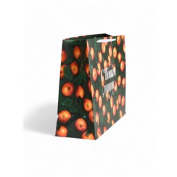 Пакет новогодний ламинированный подарочный «С Новым годом», XXL 61×46×20 см