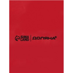 Блинница Доляна «Новогоднее настроение», 23.5×9.7 см, доломит, белая