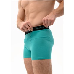 Мужские трусы Berrak