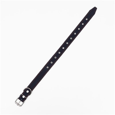 Ошейник комбинированный, безразмерный, 70×3.5 см, ОШ 25-60 см, кожа, брезент, синий