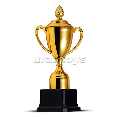 Кубок спортивный пластик (22 см)