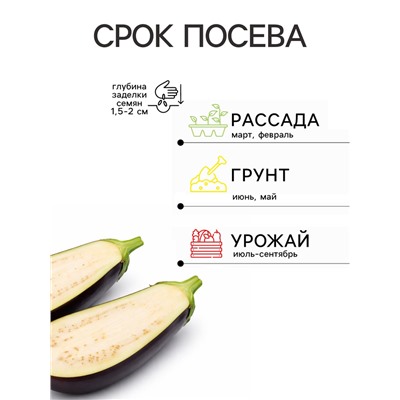 Семена Баклажан «Царская икра», 0.1 г