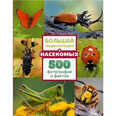 АСТ . "Большая энциклопедия о насекомых. 500 фотографий и фактов"