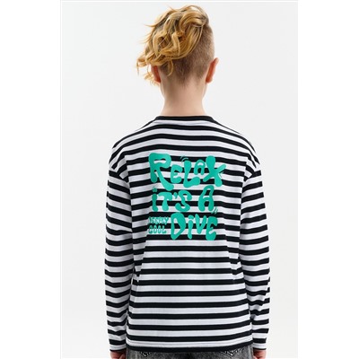 Джемпер для мальчиков PELICAN, 1236458