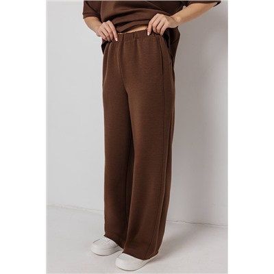 Брюки женские  196Т/03/Коричневый