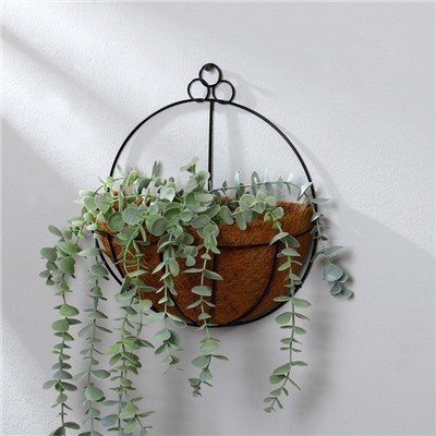 Кашпо настенное, d=25 см, с кокосовым вкладышем, «Полусфера», Greengo