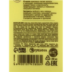 Подарочный набор «Укрепление»: шампунь 250 мл, бальзам 250 мл, URAL LAB