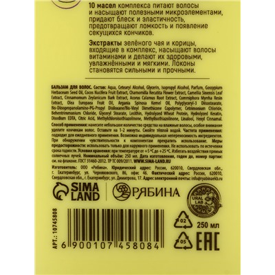 Подарочный набор «Укрепление»: шампунь 250 мл, бальзам 250 мл, URAL LAB