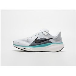 Кроссовки Nike Air Zoom Pegasus 41