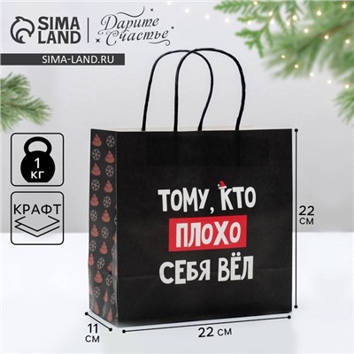 Пакет подарочный новогодний «Кто плохо себя вёл», 22×22×11 см