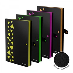 Папка  4 отд. на кнопке  А4 61210 Matt Accent ErichKrause