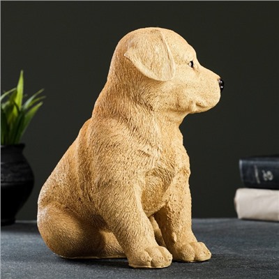 Садовая фигура из полистоуна «Щенок лабрадора», 17×12×20 см
