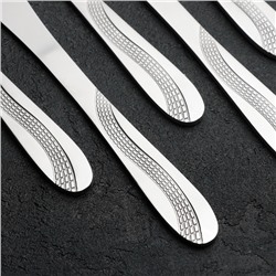 Набор столовых приборов «Водопад», 24 предмета, на подставке, нержавеющая сталь, серебристый