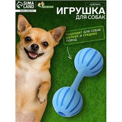 Игрушка жевательная «Силач», TPR, 15 см, голубая
