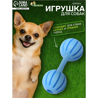 Игрушка жевательная «Силач», TPR, 15 см, голубая
