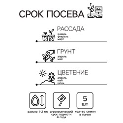 Семена Примула "Аккорд Блю шейдс", ц/п,  5 шт
