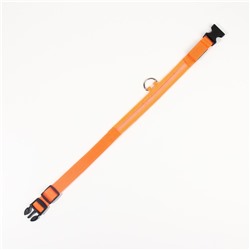 Ошейник с подсветкой размер XL, ОШ 52-60×2.5 см, 3 режима свечения оранжевый