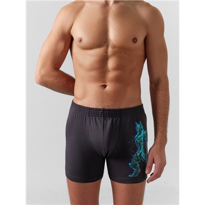 ТРУСЫ МУЖСКИЕ 411143