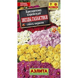 Хризантема Звезды галактики смесь (Аэлита)