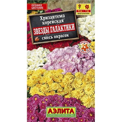Хризантема Звезды галактики смесь (Аэлита)