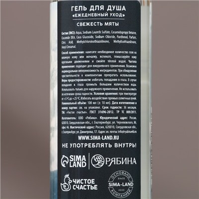 Подарочный набор новогодний «Сильному духом»: гель для душа и шампунь для волос, 2×100 мл, Чистое счастье