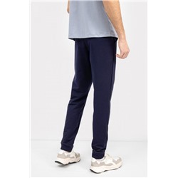 Брюки мужские 181143 (Темно-синий)
