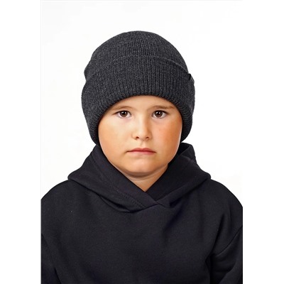 CLEVER Шапка 423559аш