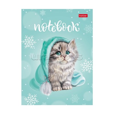 Записная книжка 64л А6ф клетка/линия "Милый котик" тв. переплет мат. ламин.