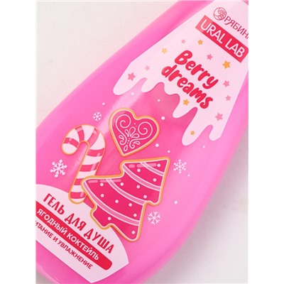 Подарочный набор новогодний: гель для душа 200 мл и бомбочки для ванны 4 шт. × 40 г, URAL LAB