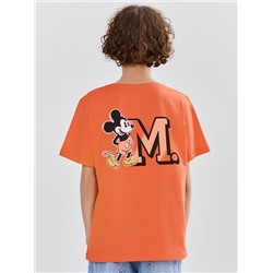 ФУТБОЛКА ДЛЯ МАЛЬЧИКОВ 113432