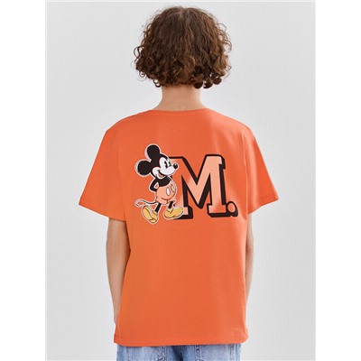 ФУТБОЛКА ДЛЯ МАЛЬЧИКОВ 113432