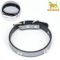 Ошейник «Пижон» с косточками, светоотражающий, 37×1.3 см, ОШ 26-33, чёрный