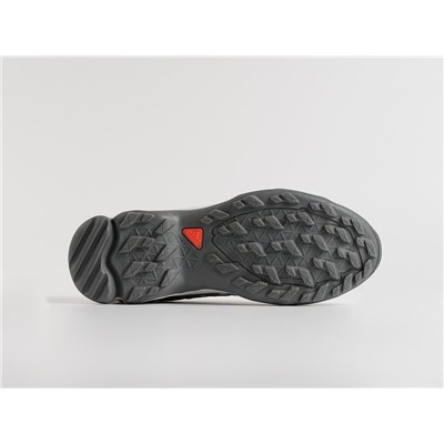 Кроссовки Adidas Terrex Swift R2 GTX