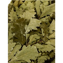 Веник для бани «Элитный», дубовый, 55 см, с обмотанной ручкой, «Добропаровъ»