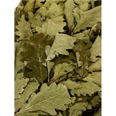 Веник для бани «Элитный», дубовый, 55 см, с обмотанной ручкой, «Добропаровъ»