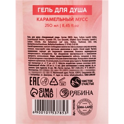 Гель для душа женский «Моменты нежности», 250 мл, аромат карамельного мусса, Чистое счастье