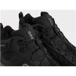 Зимние кроссовки Nike ACG Mountain Fly Mid