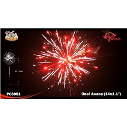 Фейерверк РС8051 Опа! Анапа! (1,1" х 14)