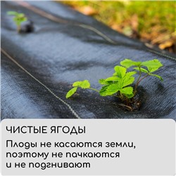 Агроткань застилочная, с разметкой, 5×1.6 м, плотность 100 г/м², полипропилен, Greengo, Эконом 50%